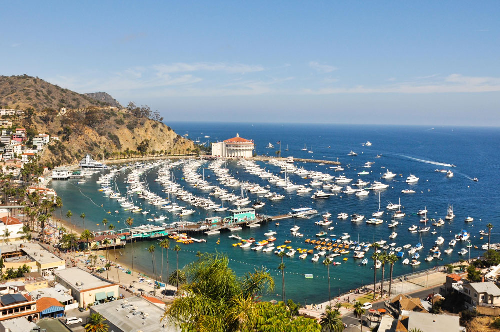 Santa Catalina | Newport Beach, California